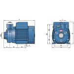 ⁦طلمبه رفع بيدريللو 1فاز 0.5 حصان 1/1 بوصه إيطالي موديل - PEDROLLO  PKm/60⁩ - الصورة ⁦3⁩