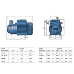 ⁦طلمبه رفع بيدريللو  1فاز 0.5 حصان 3/4/3/4 بوصه رفع ديزل موديل - PEDROLLO  CKm50-E⁩ - الصورة ⁦2⁩