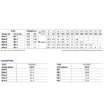 ⁦طلمبه غاطسه بيدريللو 1.5حصان 1.5بوصه - 19.5م ستانلس إيطالي موديل - PEDROLLO  RXm5⁩ - الصورة ⁦3⁩