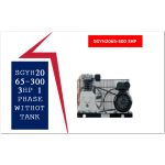 ⁦وحدة موتور راس كاملة 3 حصان 220 فولت اي بي تي  APT SGYH2065-300 3HP WO 1 PHASE WITHOUT TANK⁩ - الصورة ⁦2⁩