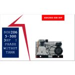 ⁦وحدة موتور و راس كاملة 3 حصان 220 فولت اي بي تي - APT SGH2065 -300- 3HP-WO⁩ - الصورة ⁦2⁩