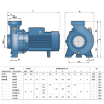 ⁦طلمبه ري بيدريللو 3 فاز 3 حصان 3/3بوصه إيطالي موديل -  PEDROLLO  HF6A⁩ - الصورة ⁦2⁩