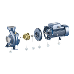 ⁦طلمبه ري بيدريللو 3 فاز 3 حصان 3/3بوصه إيطالي موديل -  PEDROLLO  HF6A⁩ - الصورة ⁦4⁩