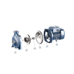 ⁦طلمبه ري بيدريللو 1 فاز 1.5حصان 2/2بوصه إيطالي موديل - PEDROLLO  HFm5BM⁩ - الصورة ⁦2⁩