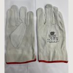 جوانتي ارجون قصير STRONG